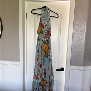 Reformation Blue Floral Backless Dress